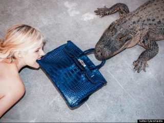 Illustration for article titled Here Is a Video of a Man Feeding a $100,000 Birkin Bag to an Alligator